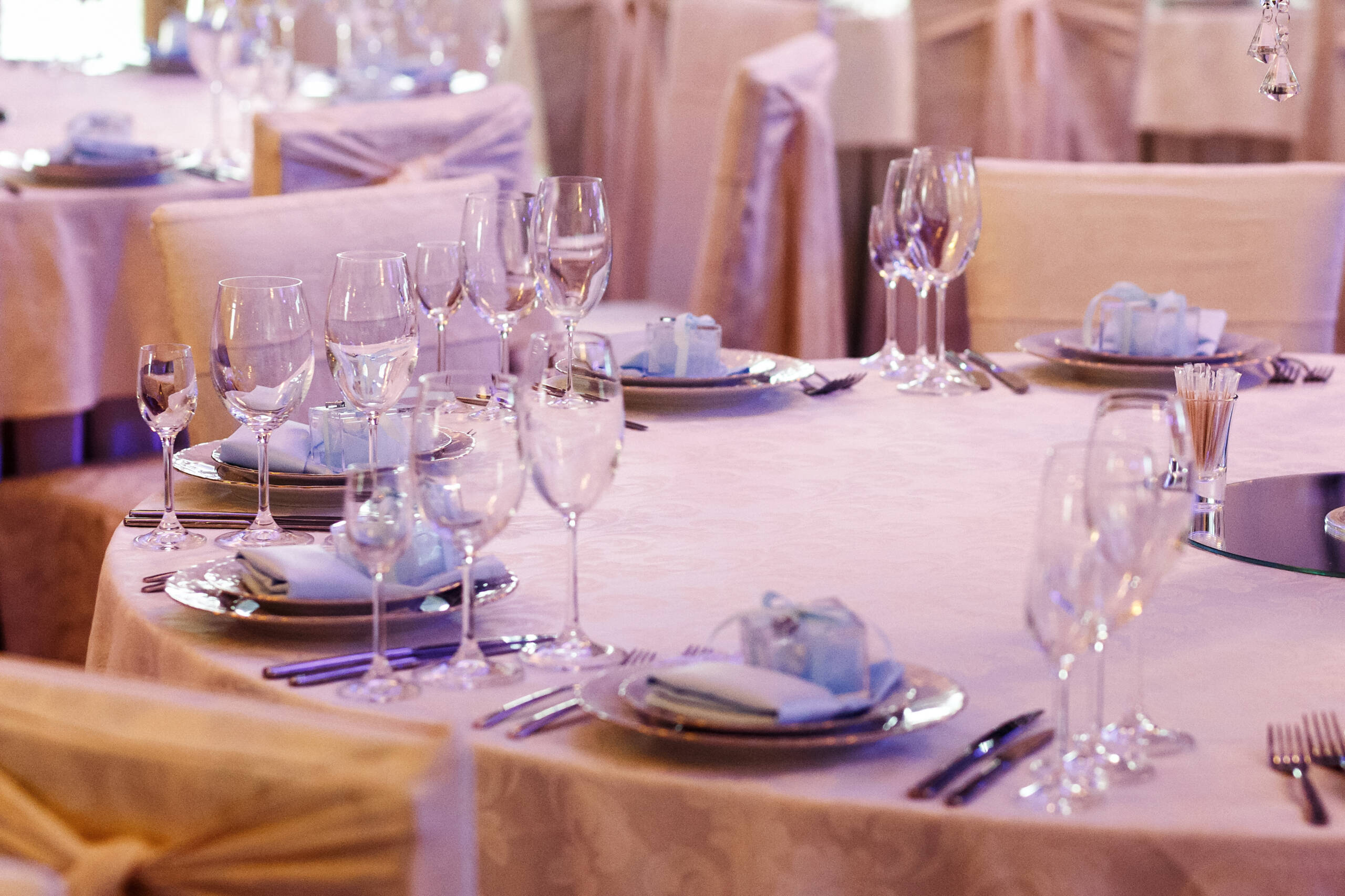 Fiesta Total BG - Imagen 2